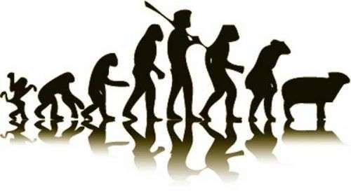 escala evolución-evolución